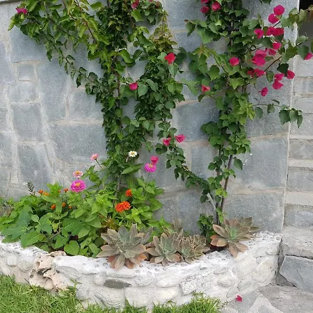 Niki Νικήτη