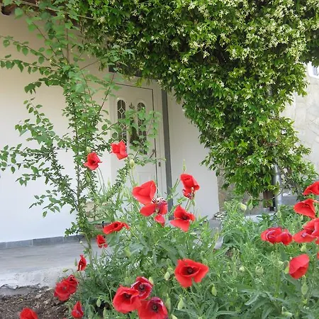 Niki * Nikiti (Sithonia)