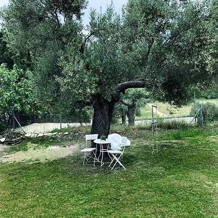 Niki Villa